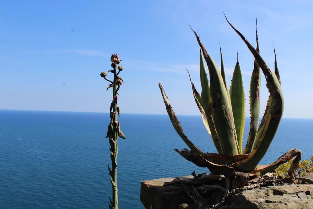 Vila Ca' Do Roccio La Spezia Exteriér fotografie